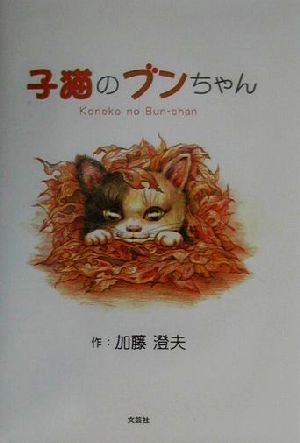 子猫のブンちゃん