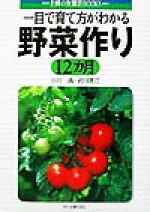 一目で育て方がわかる野菜作り12カ月 主婦の友園芸BOOKS