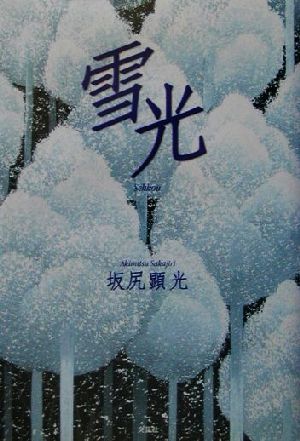 雪光