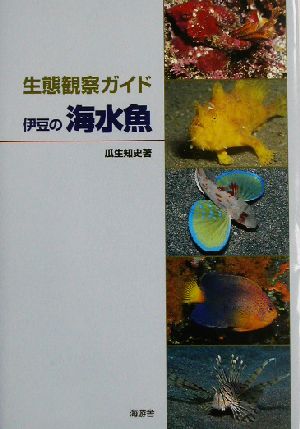 生態観察ガイド 伊豆の海水魚 生態観察ガイド