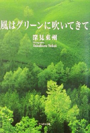 風はグリーンに吹いてきて