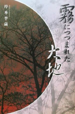 霧につつまれた大地