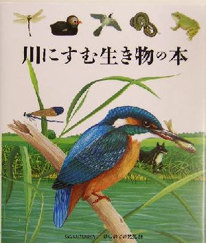 川にすむ生き物の本 はじめての発見29