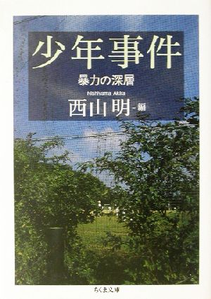 少年事件 暴力の深層 ちくま文庫