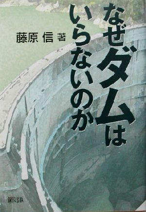 なぜダムはいらないのか