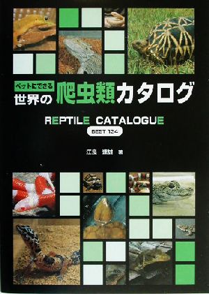 ペットにできる世界の爬虫類カタログ Reptile catalogue best 134