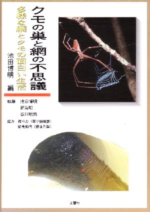 クモの巣と網の不思議 多様な網とクモの面白い生活