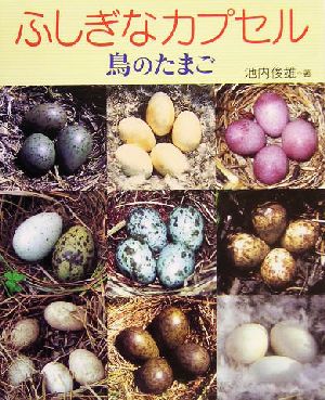 ふしぎなカプセル 鳥のたまご 地球ふしぎはっけんシリーズ6