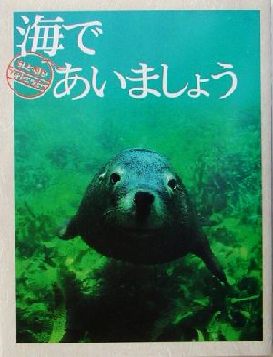 海であいましょう 井上慎也フォトエッセイ スマイル・ブックス2