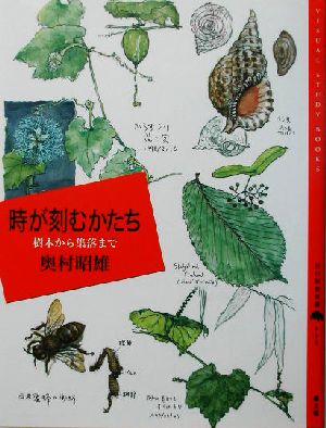 時が刻むかたち 樹木から集落まで 百の知恵双書004