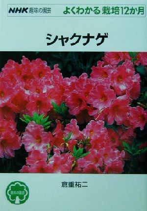 趣味の園芸 シャクナゲ よくわかる栽培12か月 NHK趣味の園芸