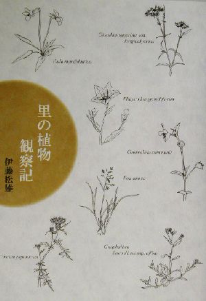 里の植物観察記