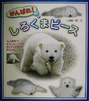 がんばれ！しろくまピース 人工飼育でそだったホッキョクグマの赤ちゃん