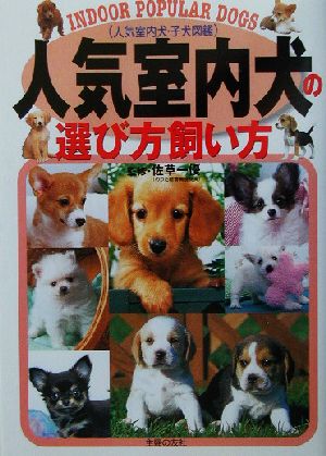 人気室内犬の選び方飼い方人気室内犬・子犬図鑑