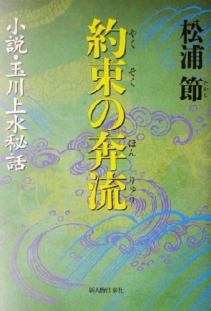 約束の奔流 小説・玉川上水秘話