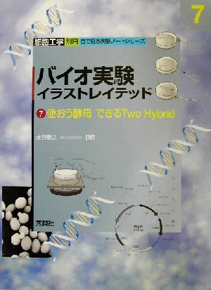 バイオ実験イラストレイテッド(7) 使おう酵母できるTwo Hybrid 細胞工学別冊 目で見る実験ノートシリーズ