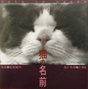 猫の名前