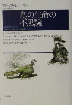 鳥の生命の不思議