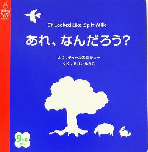 あれ、なんだろう？ 主婦の友はじめてブックシリーズ