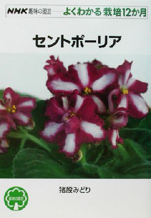 趣味の園芸 セントポーリア よくわかる栽培12か月 NHK趣味の園芸