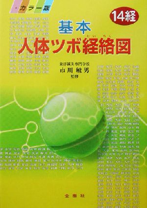 基本人体ツボ経絡図 14経