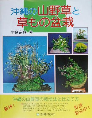 沖縄の山野草と草もの盆栽