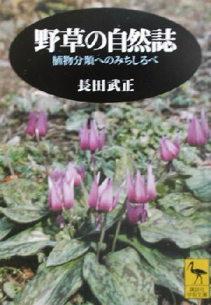 野草の自然誌 植物分類へのみちしるべ 講談社学術文庫