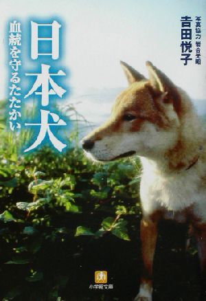 日本犬血統を守るたたかい小学館文庫