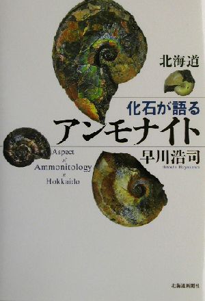 北海道 化石が語るアンモナイト