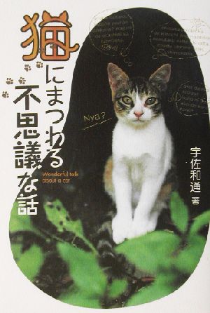 猫にまつわる不思議な話