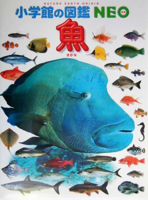 魚小学館の図鑑NEO4