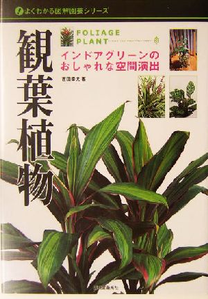 観葉植物 インドアグリーンのおしゃれな空間演出 よくわかる図解園芸シリーズ