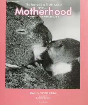 Motherhood お母さんはいつでもあなたの側にいます ブルーデイブックシリーズ5