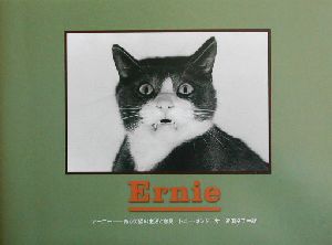 アーニー ある街猫の生活と意見