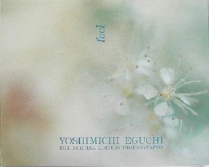 feel Yoshimichi Eguchi the special edition photographs