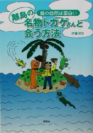 離島の名物トカゲさんと会う方法 島の自然は面白い