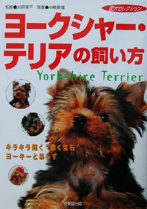 ヨークシャー・テリアの飼い方愛犬セレクション