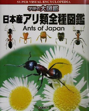 日本産アリ類全種図鑑学研の大図鑑