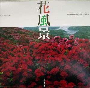 花風景