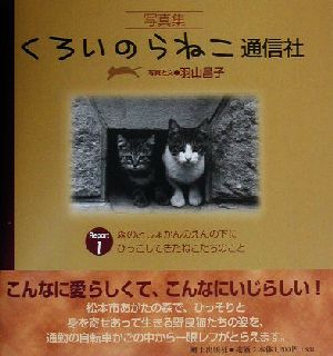 くろいのらねこ通信社(Report1) 写真集-森のとしょかんのえんの下にひっこしてきたねこたちのこと