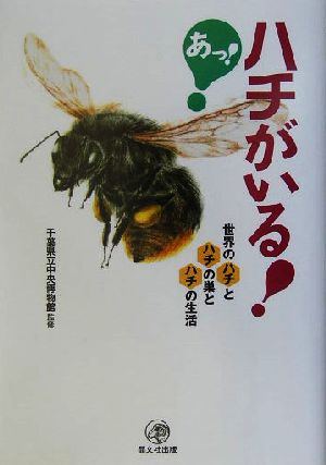 あっ！ハチがいる！ 世界のハチとハチの巣とハチの生活