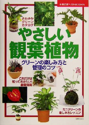 やさしい観葉植物 グリーンの楽しみ方と管理のコツ 主婦の友ベストBOOKS