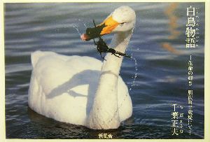 白鳥物語 生命の輝き 胆沢町半蔵堤にて