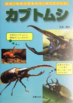 カブトムシ