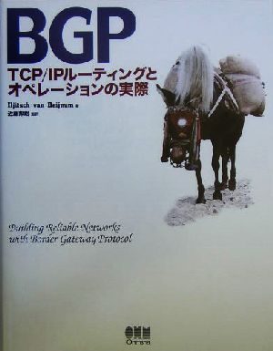 BGP TCP/IPルーティングとオペレーションの実際