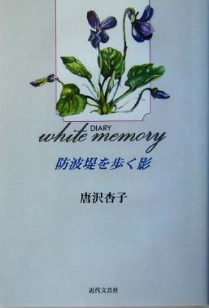 white memory 防波堤を歩く影