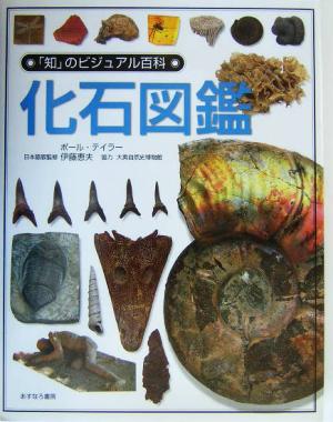化石図鑑「知」のビジュアル百科4