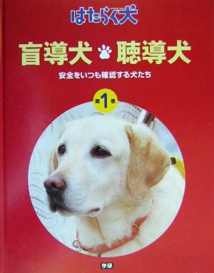 盲導犬・聴導犬 安全をいつも確認する犬たち はたらく犬1