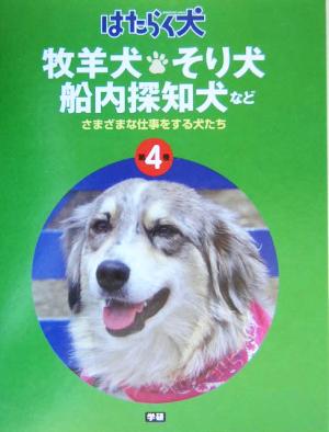 牧羊犬・そり犬・船内探知犬など さまざまな仕事をする犬たち はたらく犬4