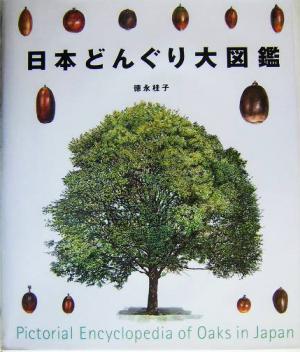 日本どんぐり大図鑑